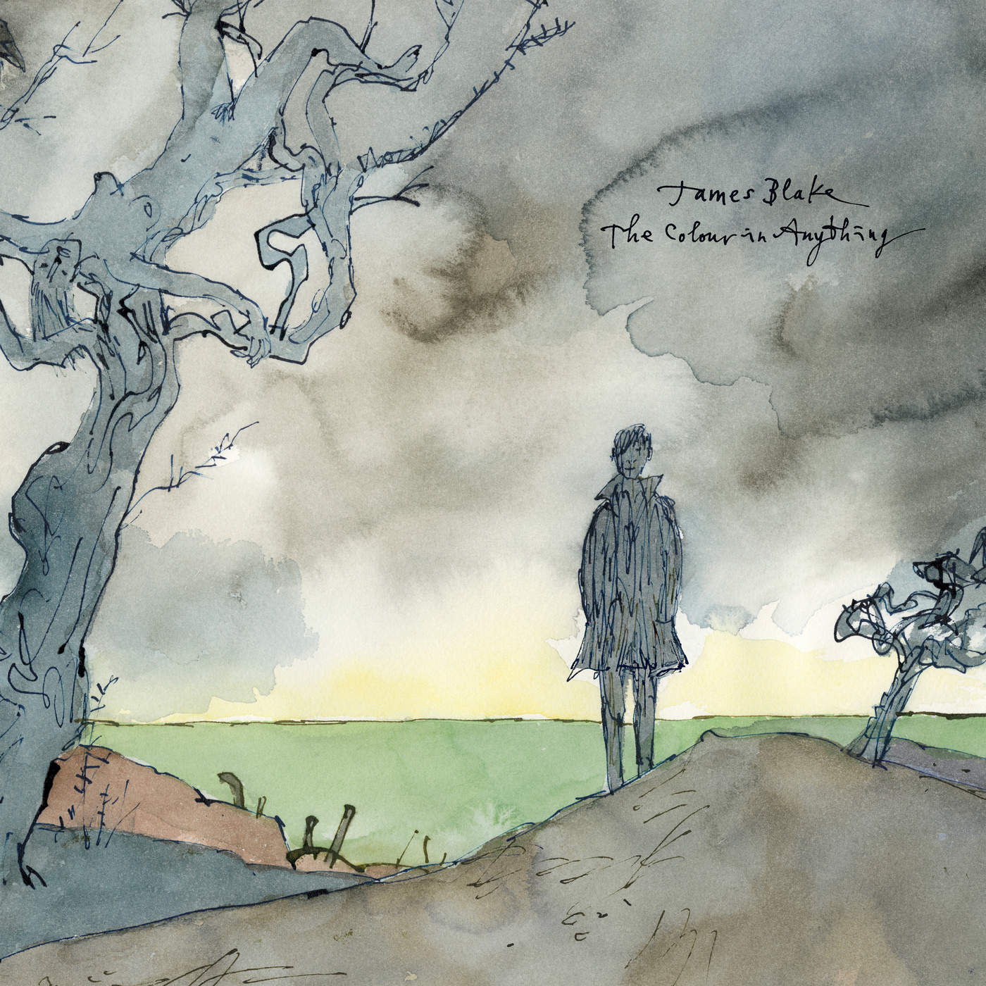 32 James Blake - The Colour in Anything (Electronic).jpg