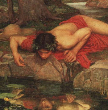 Narcissus.jpg
