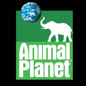 Animal Planet.jpg