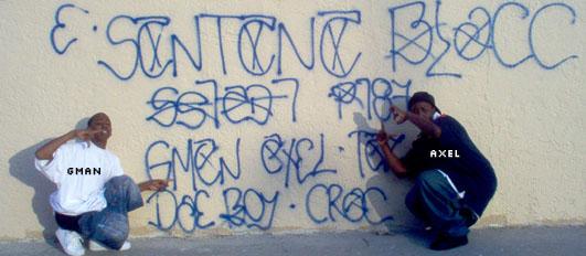 wall-pic1.jpg