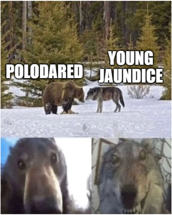 화면 캡처 2023-08-15 211336.png