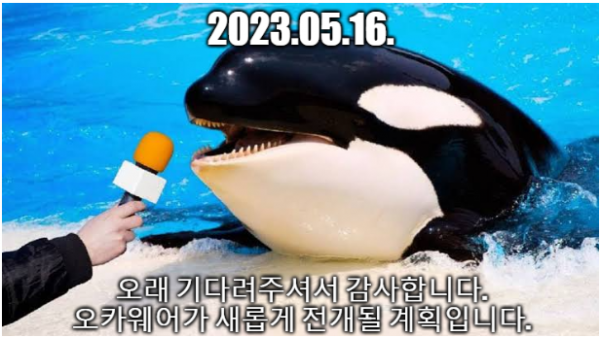화면 캡처 2023-08-15 211647.png
