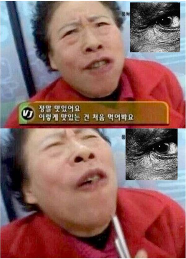 화면 캡처 2023-08-15 223754.jpg