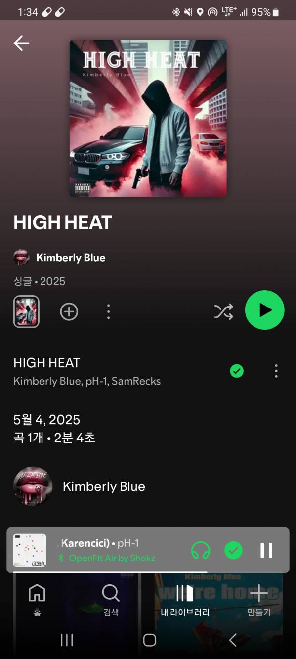 Screenshot_20250509_013435_Spotify.jpg