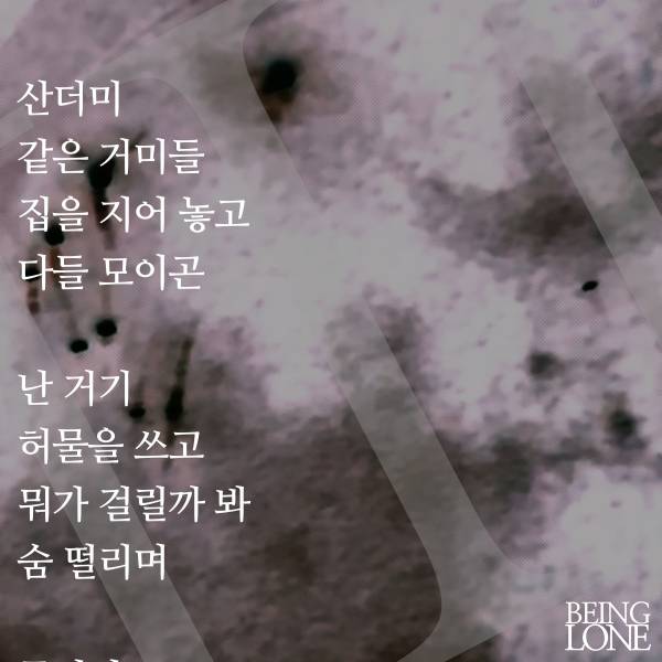 슬라이드51.jpg