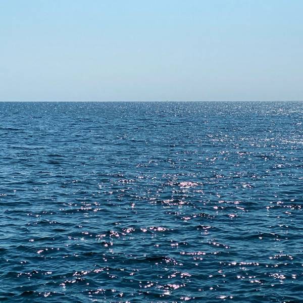 5D143E70-408C-4F91-AA1A-21D449BD4061.jpeg