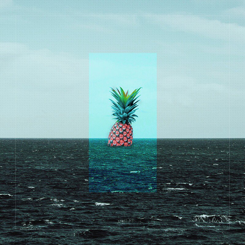 02.jpg