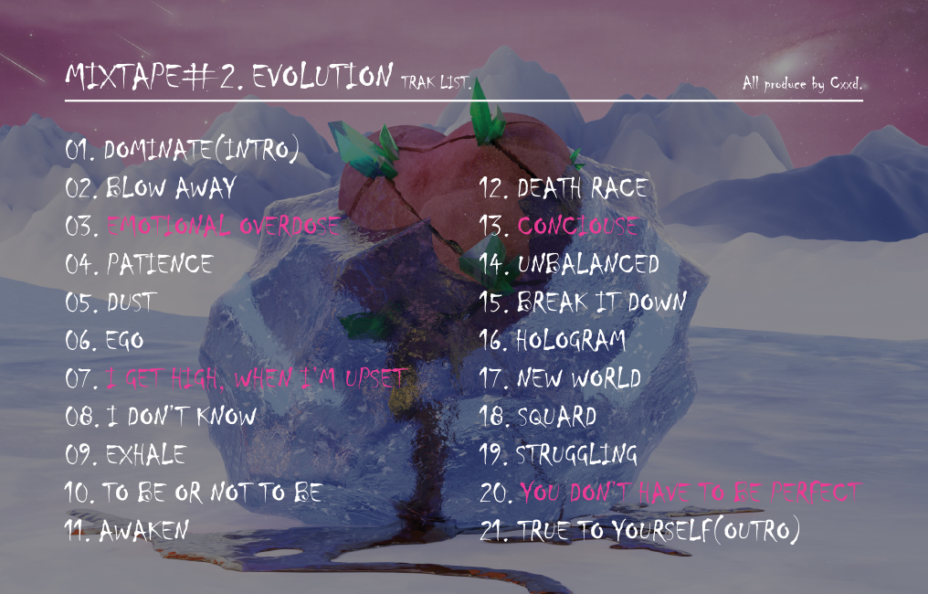 Mixtape#2,Evolution Album Cover(뒷).jpg
