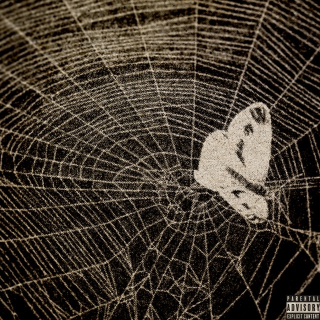 To-Pimp-A-Butterfly 중간.jpeg