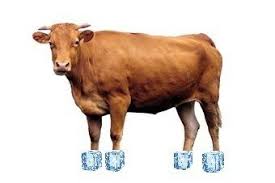 다운로드 (1).jpeg