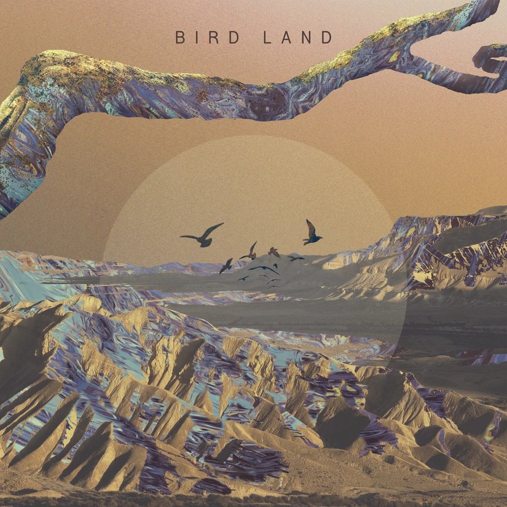 Noden - Bird Land ARTWORK.jpg