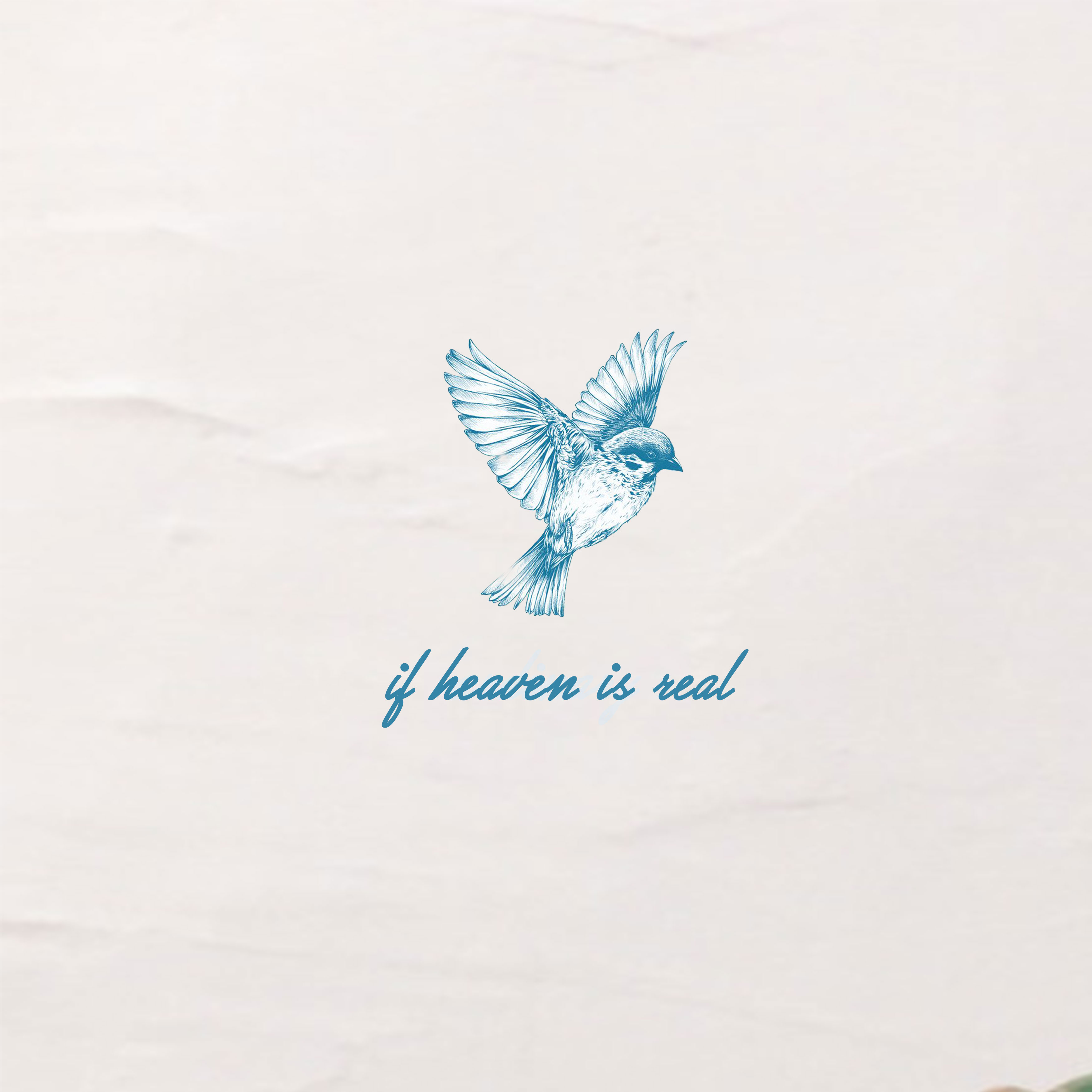 ifheavenisreal.jpg