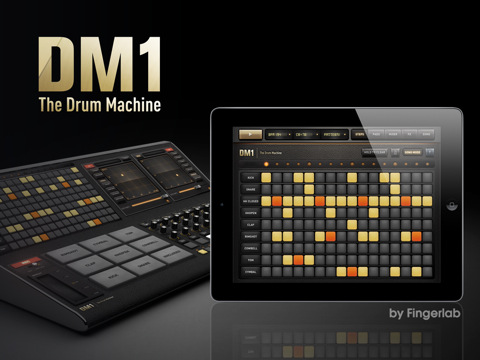 dm11.jpg