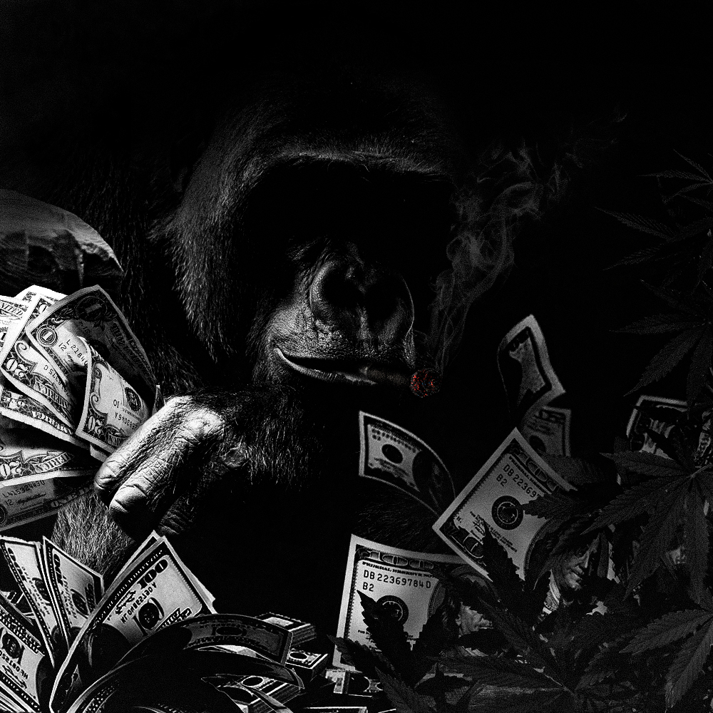 Gorila Gangster.jpg