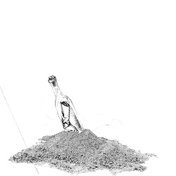 Surf_(Donnie_Trumpet_cover).jpg