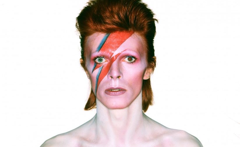 ziggy.jpg