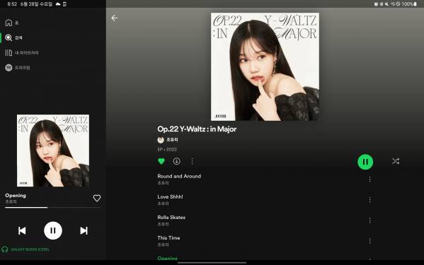 Screenshot_20230628_205212_Spotify.jpg