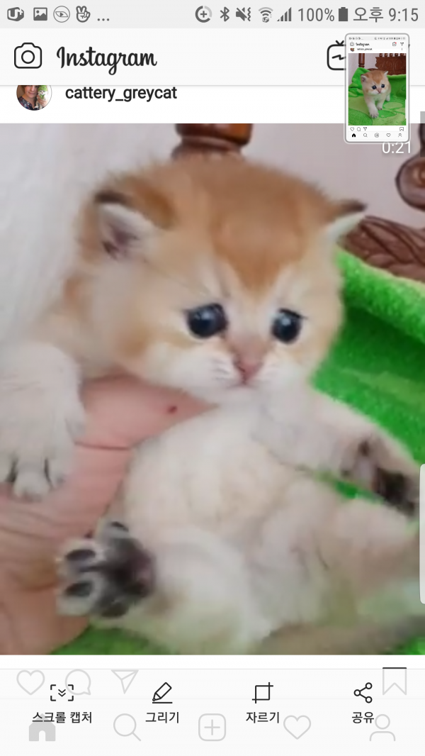 Screenshot_20190321-211600.png