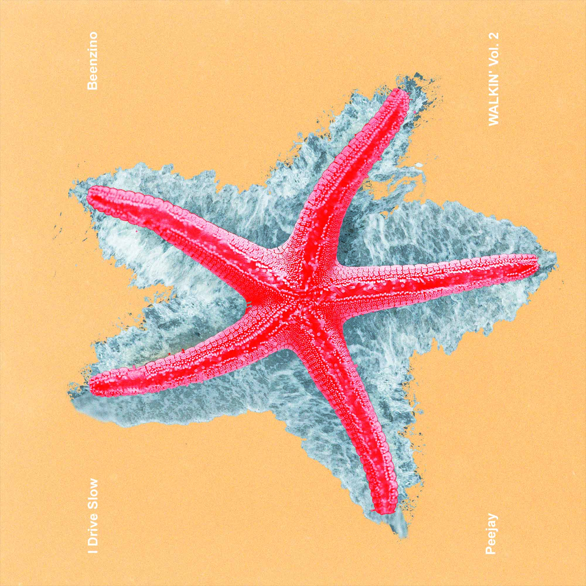 starfish1.jpg