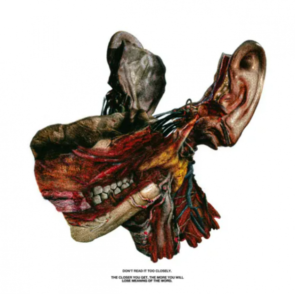 스크린샷 2025-11-13 154056.png