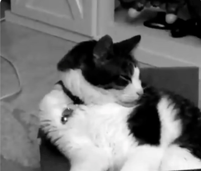 8.png