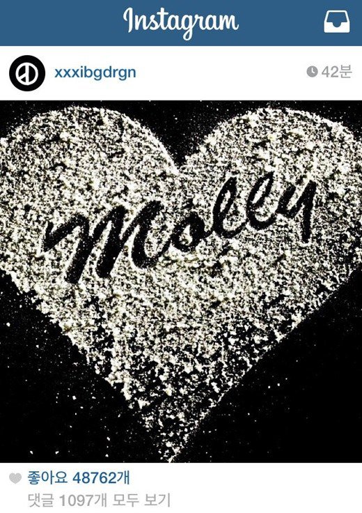 g-dragon-molly.jpg
