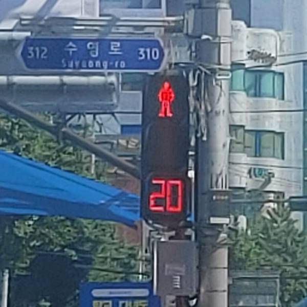 FRESHMAN, UNIVERSITY 앨범커버.jpg