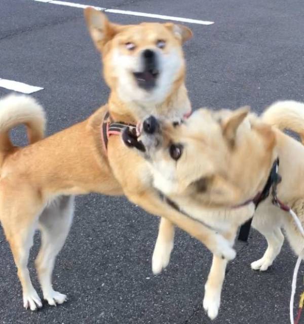 다운로드파일_20230904_232129.jpg