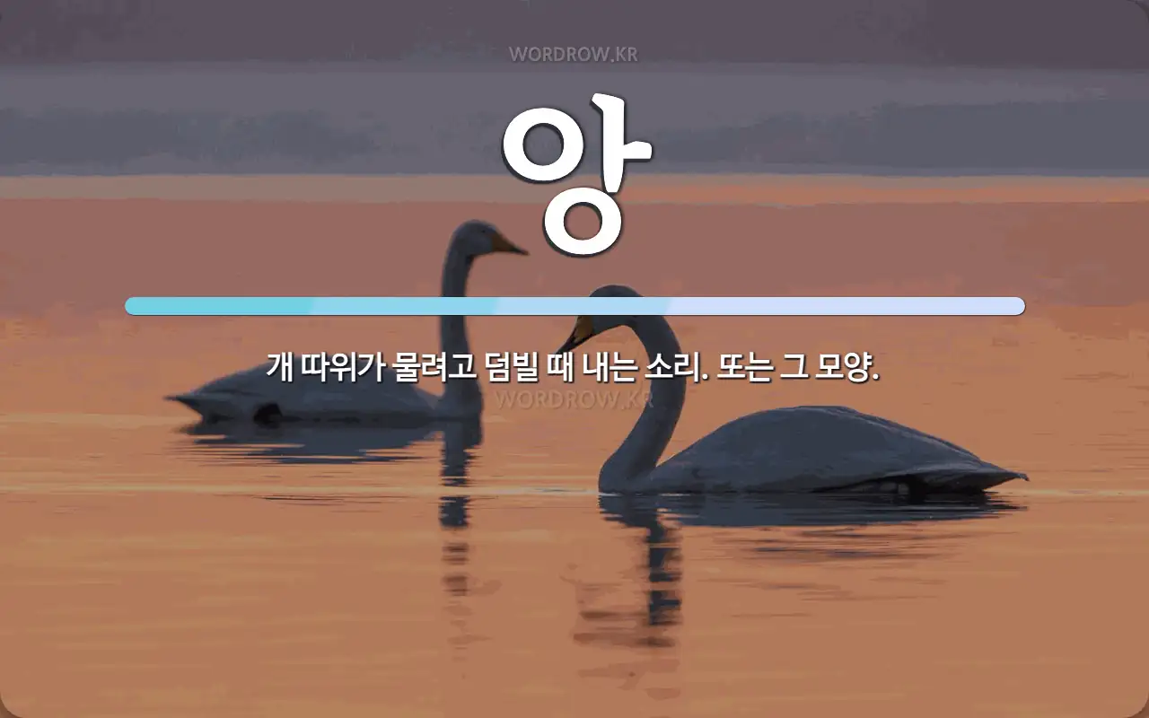 앙_1.webp