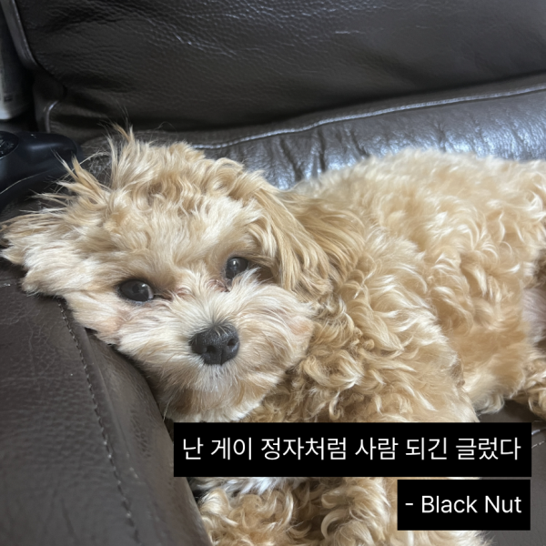 스크린샷 2023-09-21 오후 12.06.01.png