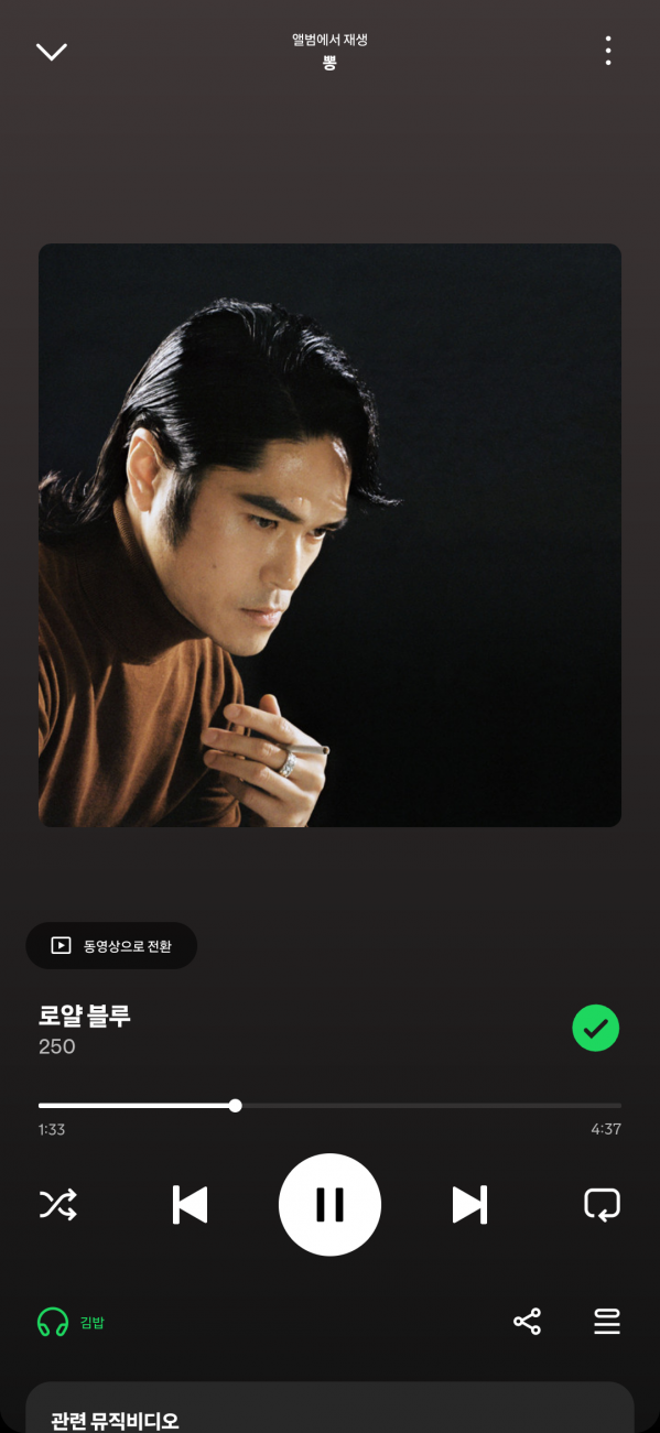 Screenshot_20241220_212253_Spotify.png