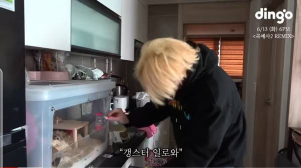 Screenshot_20230610_142901_YouTube.jpg