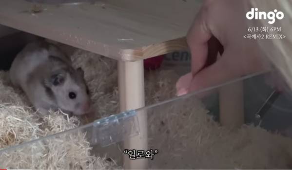Screenshot_20230610_142913_YouTube.jpg