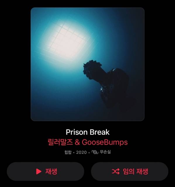 Screenshot_20251214_021132_Apple Music.jpg