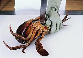 게.jpg