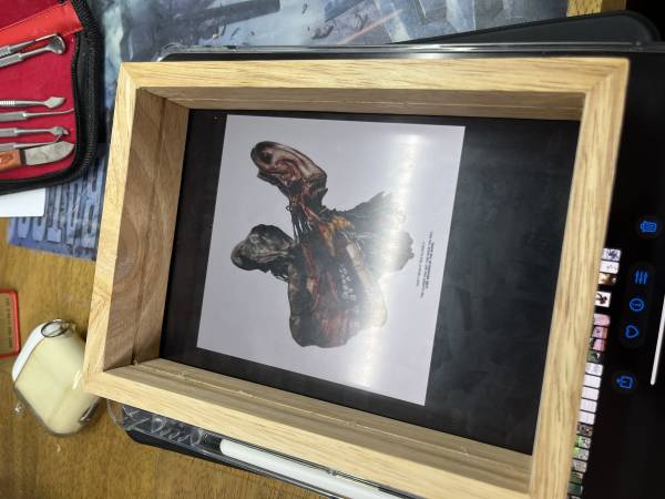 IMG_8165.jpeg