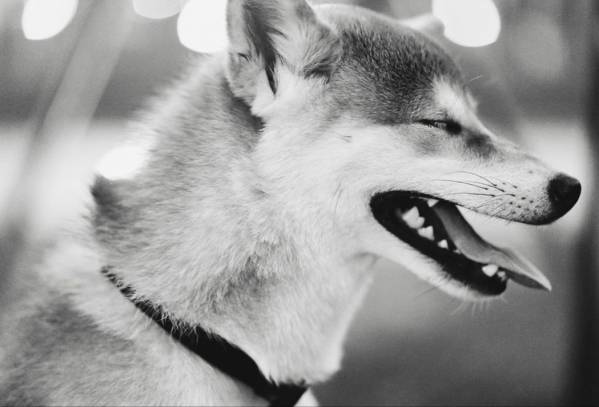 20201108_151058.jpg
