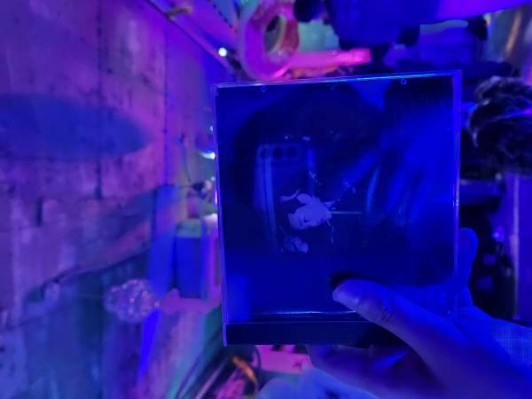 20250118_182337 (1).jpg