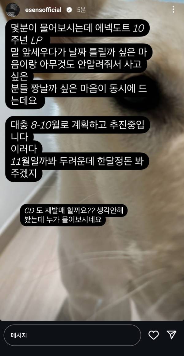 Screenshot_20250506_190238_Instagram.jpg