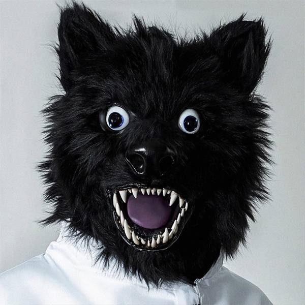 ANIMAL FKRY.jpg