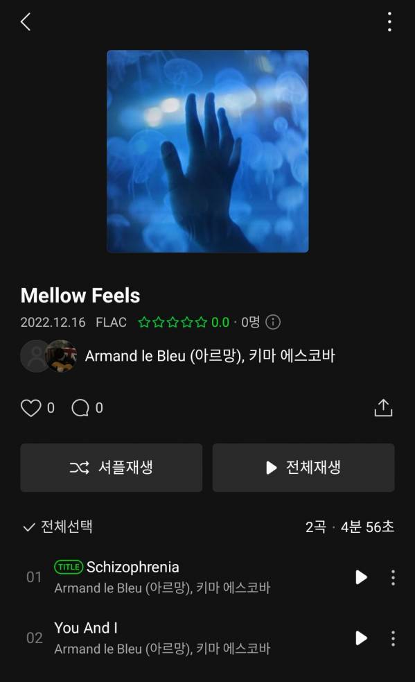 Screenshot_20221216-120553_Melon.jpg