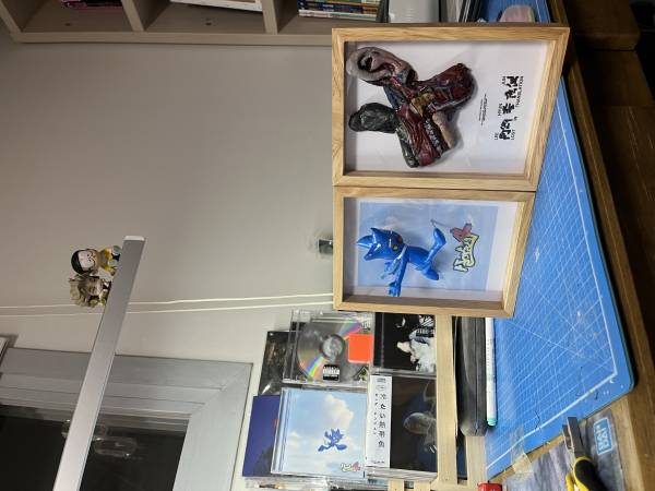 IMG_8218.jpeg