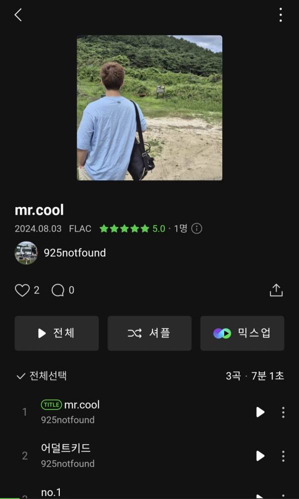 Screenshot_20240804_191421_Melon.jpg