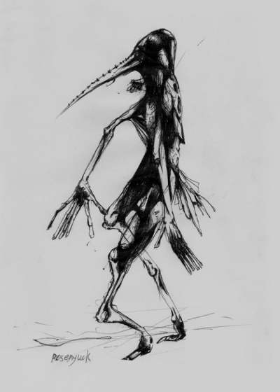 bird2.jpg
