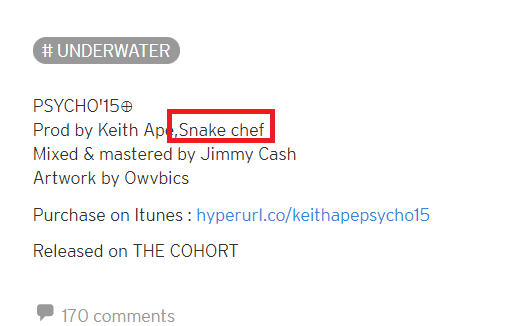 SNAKECHEF.png
