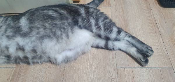 KakaoTalk_20211227_231824044.jpg