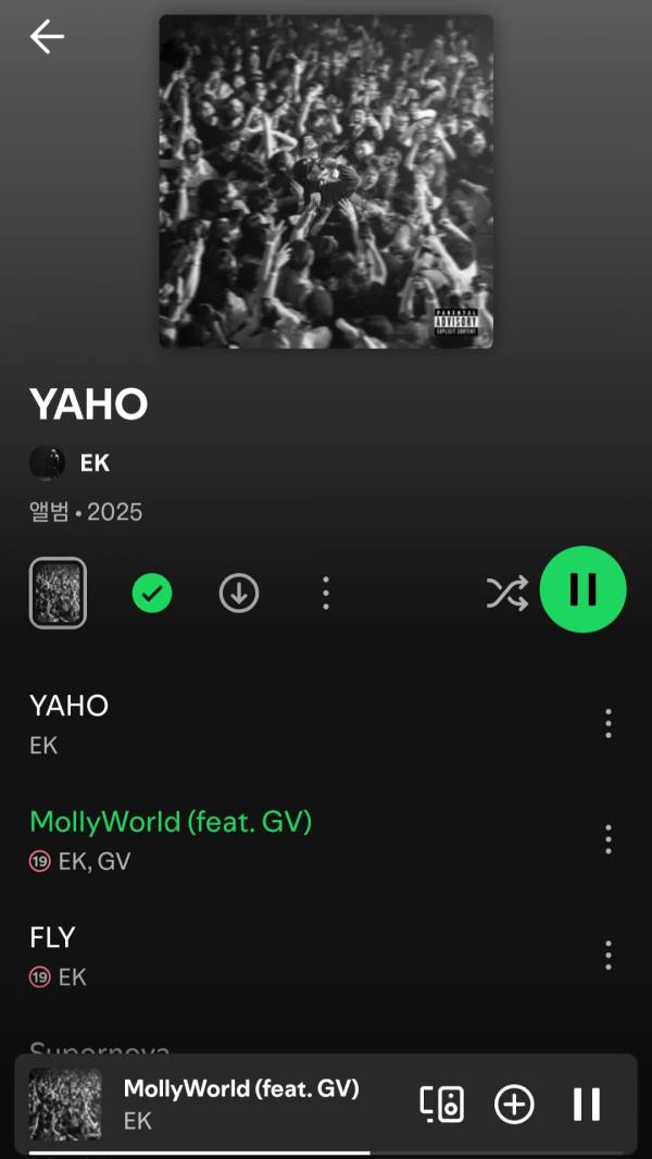 Screenshot_20250702_194521_Spotify.jpg