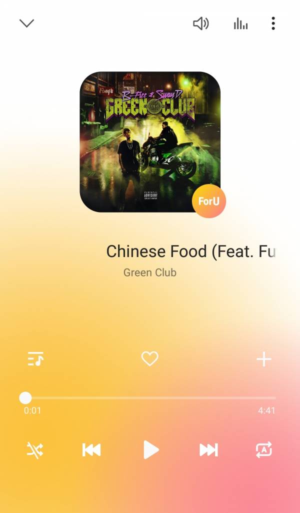 Screenshot_20190629-234138_Samsung Music.jpg