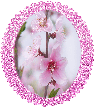 4f176db3d326cbf52d5c0e20a7741639.gif