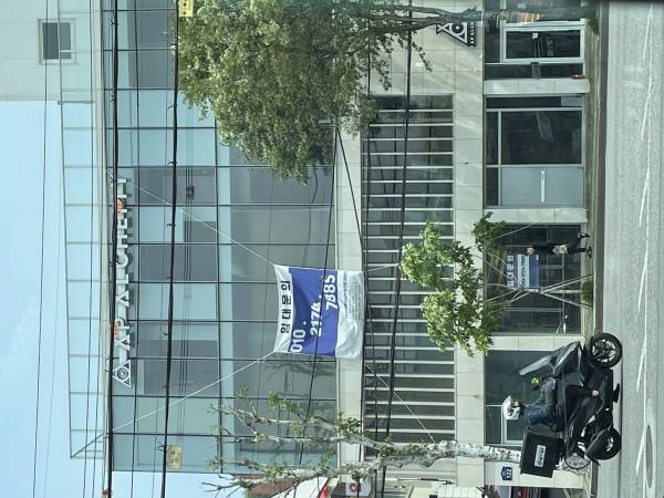 IMG_9652.jpeg